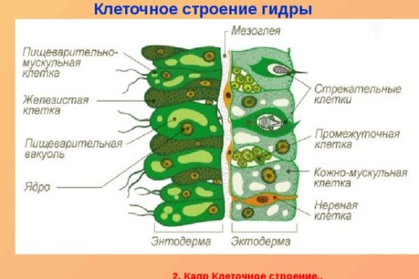 Официальный сайт кракен тор